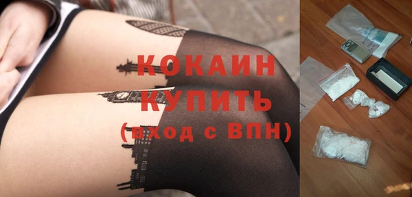 дмт Каменка