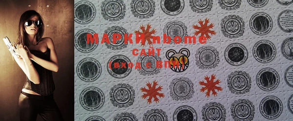 дмт Каменка