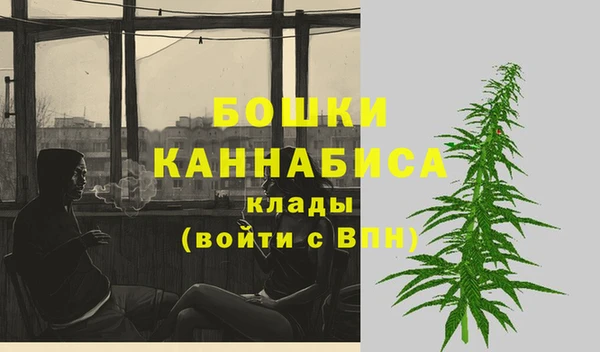 ПСИЛОЦИБИНОВЫЕ ГРИБЫ Иннополис